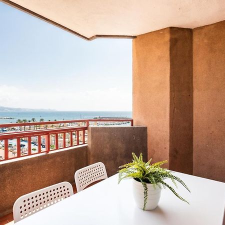 Sur Suites Palmeras 525 丰希罗拉 外观 照片